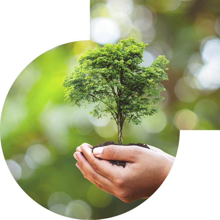 关怀人类、文化、环境与社会